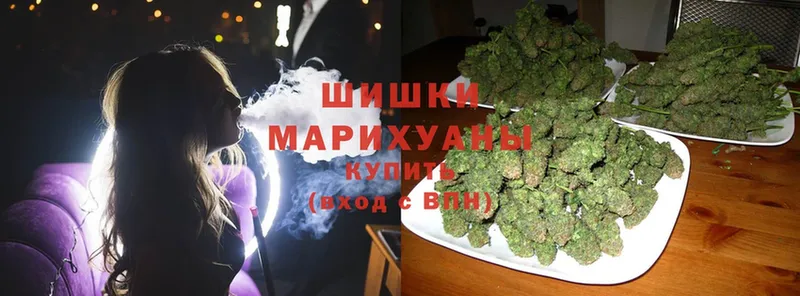 где купить наркотик  mega ONION  Конопля White Widow  Верхняя Салда 